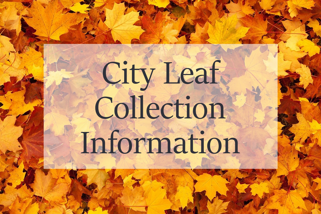 Leaf Collection
