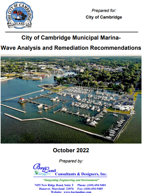 Wave Analysis Report