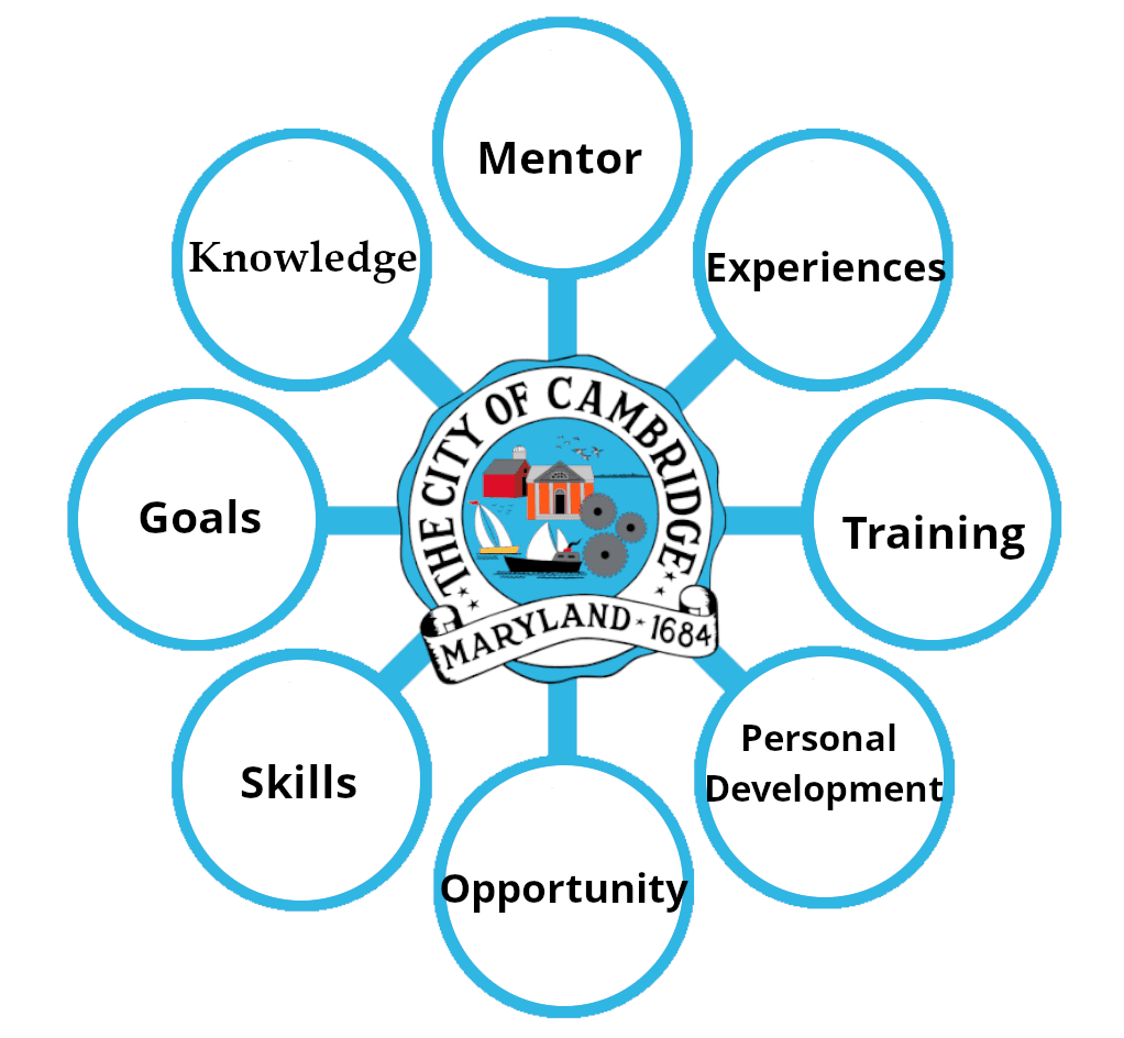 Youth Internship Program