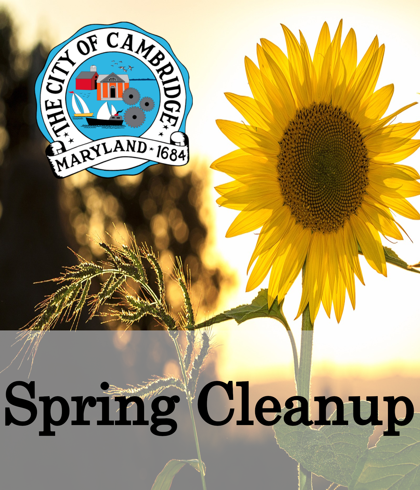 Spring Clean Up