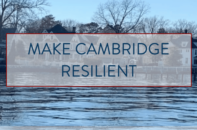 Cambridge Shoreline Resilience Plan