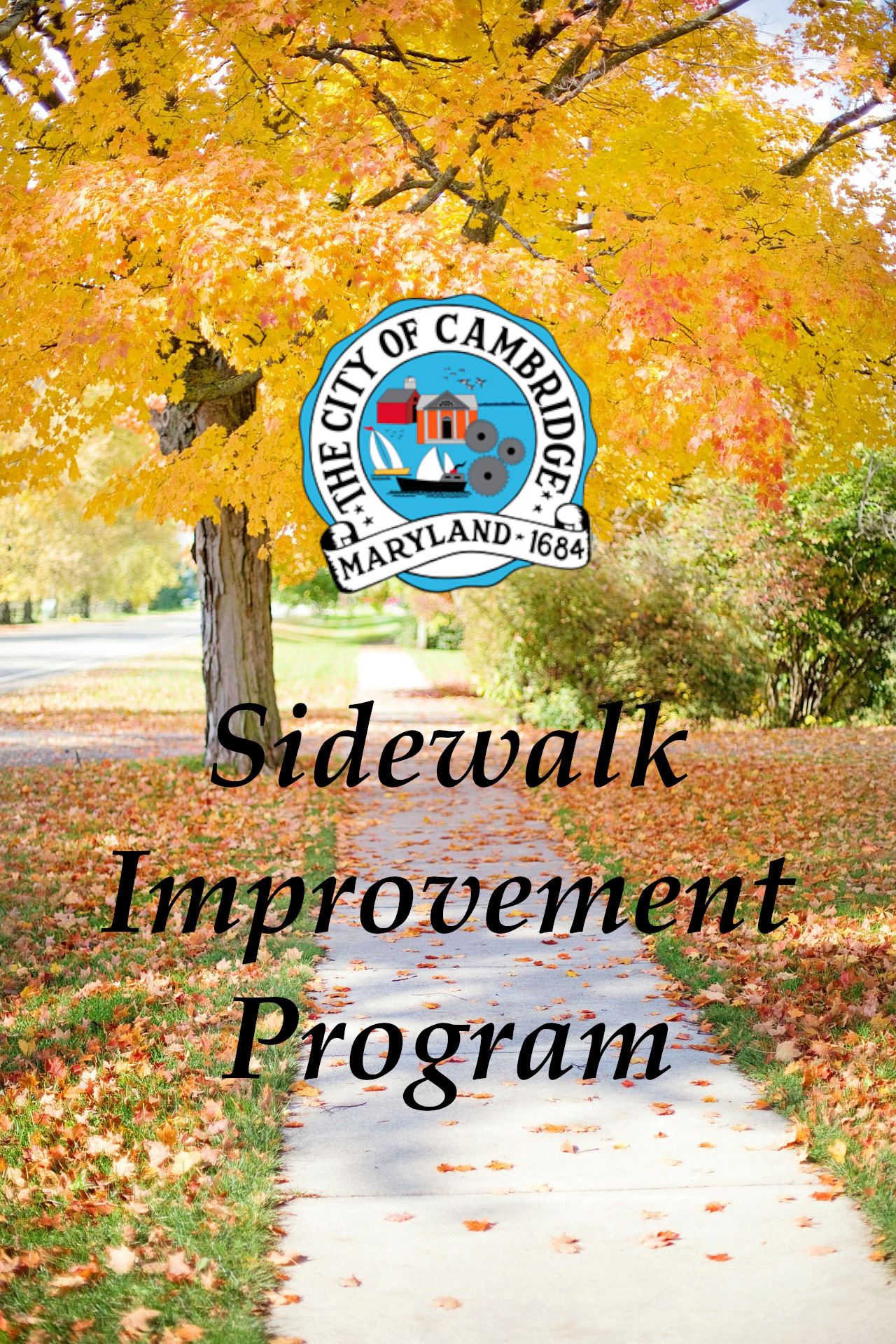 Sidewalk Improvement Program