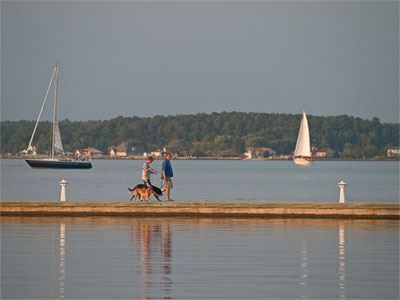 Walkers with Dog at Yacht Basin