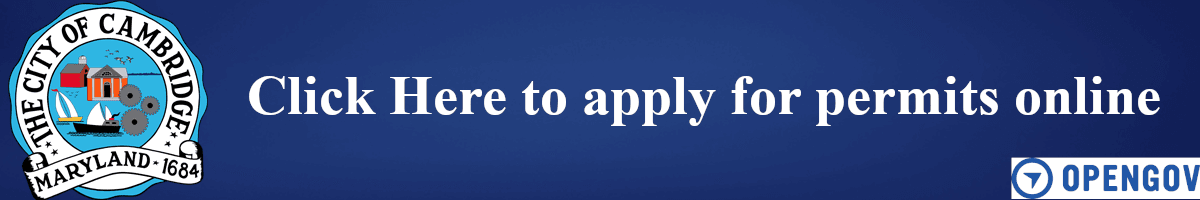 Opengov Website Permit link